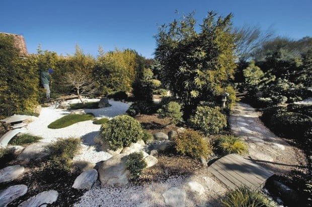 Desert zen garden with white gravel and native plants