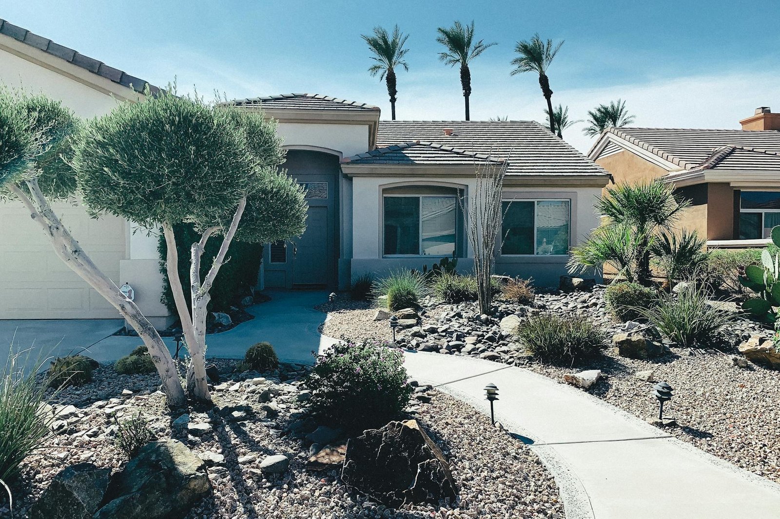Mature desert shade trees framing a sun-drenched yard
